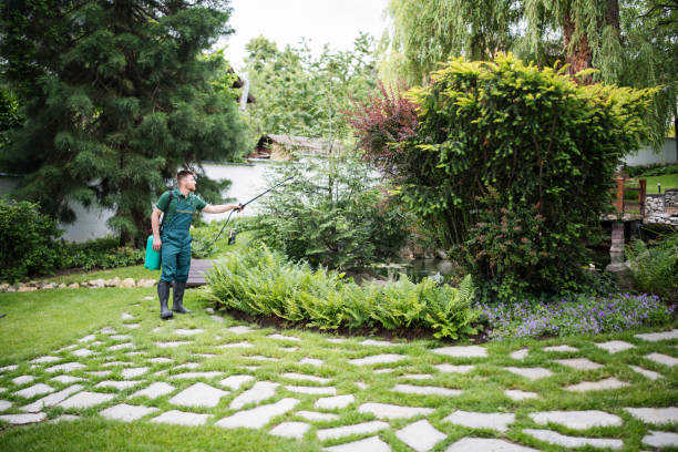 Best Ant Control Services  in Sulphur, OK