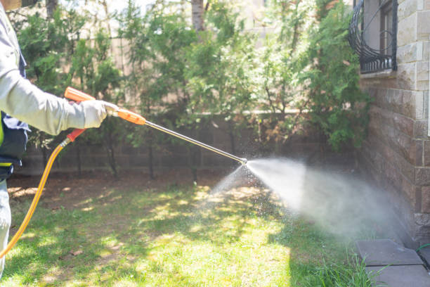 Best Best Pest Control Companies  in Sulphur, OK
