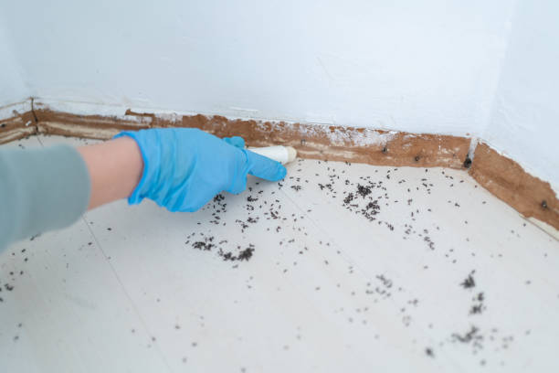 Best Commercial Pest Control Services  in Sulphur, OK